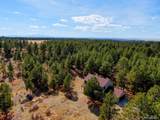 18673 Elbert Rd - Photo 9