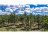 2075 Pikes Peak Dr - Photo 10