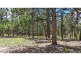 2075 Pikes Peak Dr - Photo 6