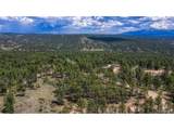 2075 Pikes Peak Dr - Photo 8