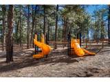 36424 Forest Trl - Photo 42