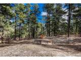 36424 Forest Trl - Photo 43