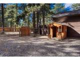 36424 Forest Trl - Photo 44