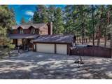 36424 Forest Trl - Photo 46