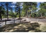 36424 Forest Trl - Photo 5
