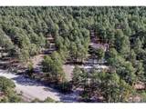 36424 Forest Trl - Photo 50