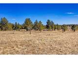 2226 Pitchfork Rd - Photo 18