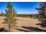2226 Pitchfork Rd - Photo 20