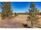 2226 Pitchfork Rd - Photo 8