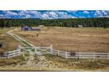 3000 County Road 359 - Photo 34
