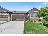 11889 Sea Oats St - Photo 35