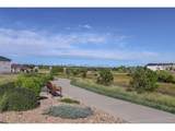 4655 Odessa St - Photo 28
