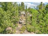 11793 Braun Way - Photo 48