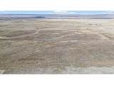 29684 County Road 153 - Photo 13