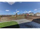 27531 7th Dr - Photo 44