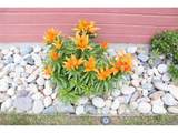 7730 Condessa Dr - Photo 26