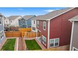 8132 Isabel Pl - Photo 6