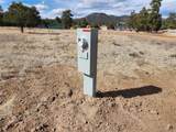  Pinon - Photo 4