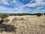  Pinon - Photo 5