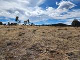  Pinon - Photo 6