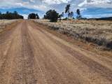  Pinon - Photo 7