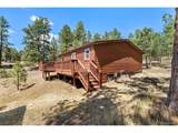 331 Rhyolite Ln - Photo 14