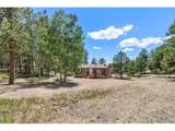 331 Rhyolite Ln - Photo 15
