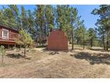 331 Rhyolite Ln - Photo 17