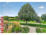 6414 Silver Mesa Dr - Photo 12