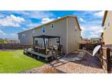 7815 Dry Willow Way - Photo 35