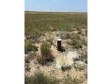 8155 Cowboy Ranch Vw - Photo 11
