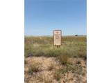 8155 Cowboy Ranch Vw - Photo 2