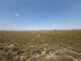 8155 Cowboy Ranch Vw - Photo 8