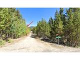 339 Eva Rd - Photo 1