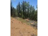 110 Brown Bear Ln - Photo 1