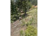 110 Brown Bear Ln - Photo 2