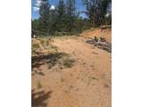 110 Brown Bear Ln - Photo 3