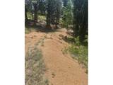 110 Brown Bear Ln - Photo 5