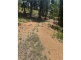 110 Brown Bear Ln - Photo 6