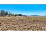 2538 Windmill Dr - Photo 13