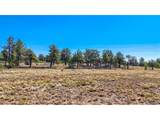 2538 Windmill Dr - Photo 14