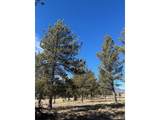 2538 Windmill Dr - Photo 16