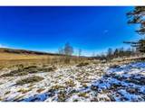 2996 Redhill Rd - Photo 23