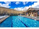 300 Base Camp Cir - Photo 41