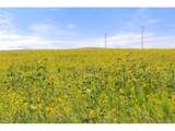 0 Resolis Rd - Photo 35