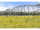 0 Resolis Rd - Photo 36