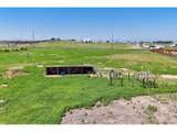 9008 County Road 21 - Photo 43
