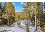 838 Silver Creek Rd - Photo 17