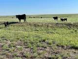 County Rd 166 - Photo 10
