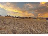 7402 76th Ave - Photo 34
